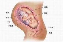 35周胎儿四维彩超图