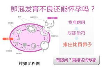 卵泡发育不良，卵泡发育不好的原因