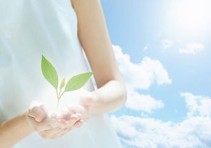 网友提：阴道出血是怎么回事